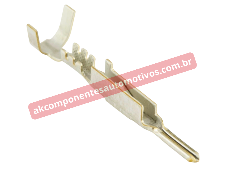 Terminal Macho Delphi